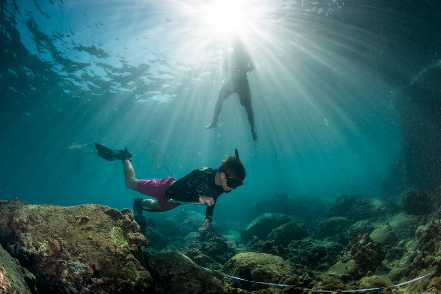 Hands-On Learning at JCU: Reef, Rainforest & Outback Experiences